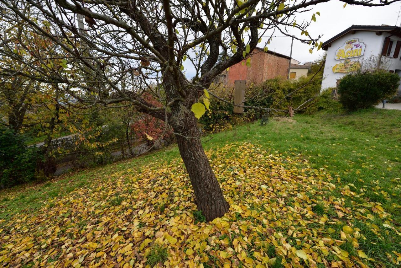 Gli Acini Bed & Breakfast Pietra de' Giorgi Bagian luar foto