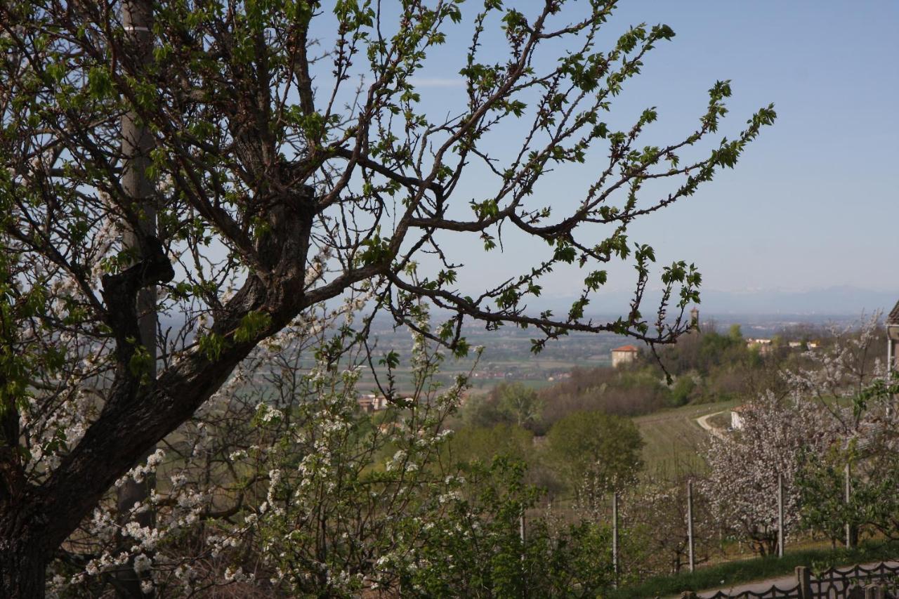 Gli Acini Bed & Breakfast Pietra de' Giorgi Bagian luar foto
