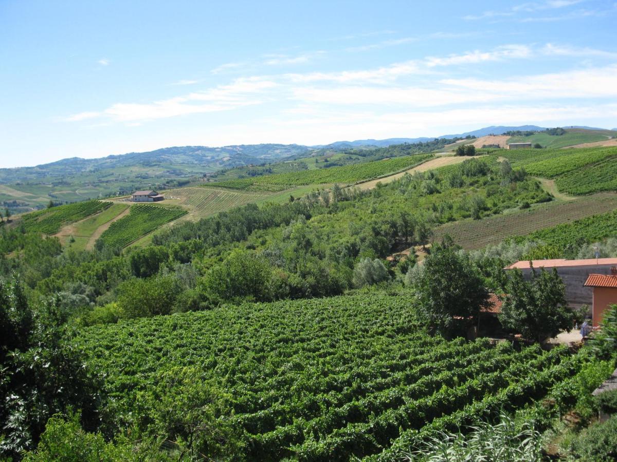 Gli Acini Bed & Breakfast Pietra de' Giorgi Bagian luar foto