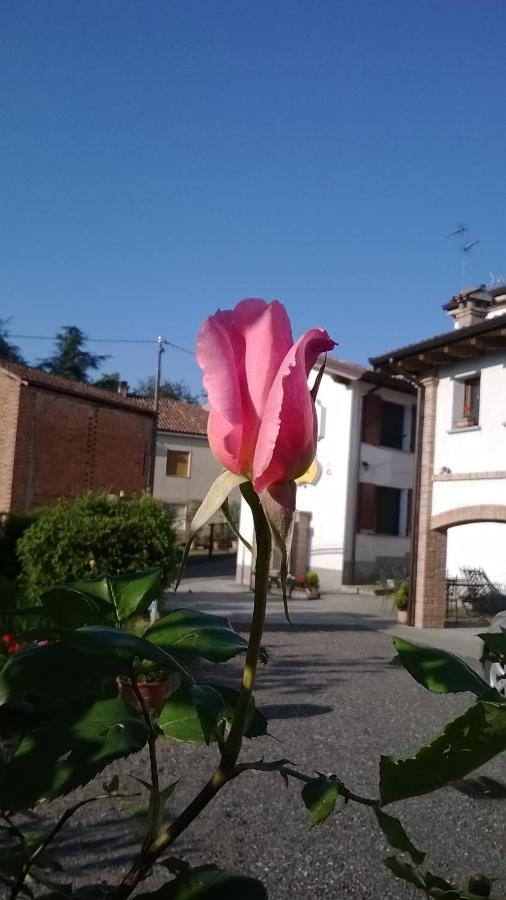 Gli Acini Bed & Breakfast Pietra de' Giorgi Bagian luar foto